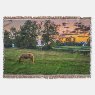 USA, Lexington, Kentucky. Einsames Pferd bei Sonne Decke