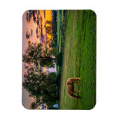 USA, Lexington, Kentucky. Einzelpferd bei Sonnenun Magnet (Vertikal)