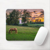 USA, Lexington, Kentucky. Einzelpferd bei Sonnenun Mousepad (Mit Mouse)