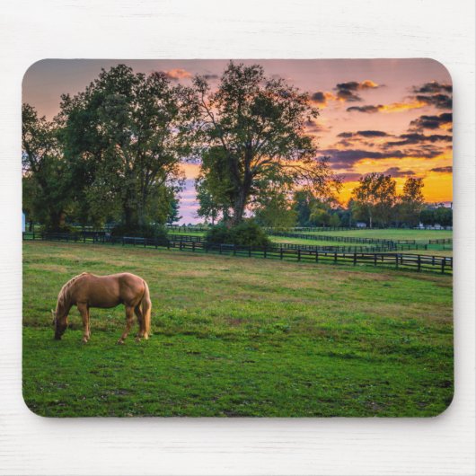 USA, Lexington, Kentucky. Einzelpferd bei Sonnenun Mousepad (Vorne)
