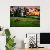 USA, Lexington, Kentucky. Einzelpferd bei Sonnenun Poster (Heimbüro)