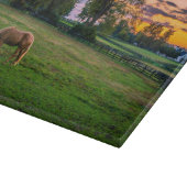 USA, Lexington, Kentucky. Einzelpferd bei Sonnenun Schneidebrett (Ecke)