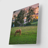 USA, Lexington, Kentucky. Einziges Pferd an Quadratische Wanduhr (Winkel)