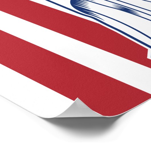 USA Liberty Poster (Ecke)