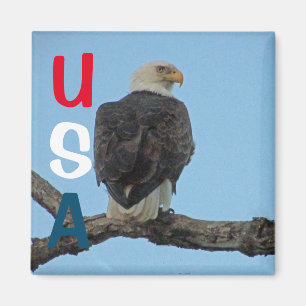 USA MAGNET