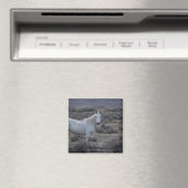 USA MAGNET (In Situ (Geschirrspüler))