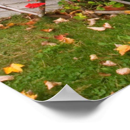 USA, Main. Wagenräder Poster (Ecke)