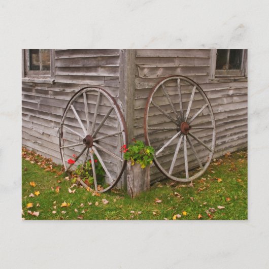 USA, Main. Wagenräder Postkarte (Vorderseite)