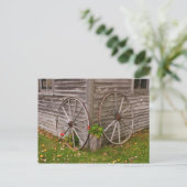 USA, Main. Wagenräder Postkarte (Stehend Vorderseite)