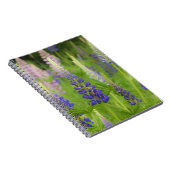 USA, Maine, Acadia National Park. Bereich Notizblock (Rechte Seite)