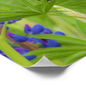 USA, Maine, Acadia National Park. Bereich Poster (Ecke)