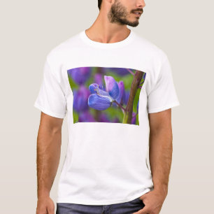 USA, Maine, Acadia National Park. Nahaufnahme von T-Shirt