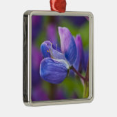 USA, Maine, Acadia National Park. Nahe Silbernes Ornament (Rechts)