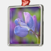 USA, Maine, Acadia National Park. Nahe Silbernes Ornament (Links)