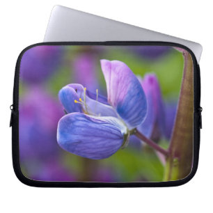USA, Maine, Acadia-Nationalpark. Nahaufnahme von Laptopschutzhülle
