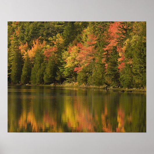 USA; Maine; Acadia NP. Fall reflections at Poster (Vorne)