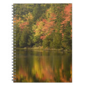  USA; Maine Acadia NP. Fallreflektionen bei Notizblock (Vorderseite)