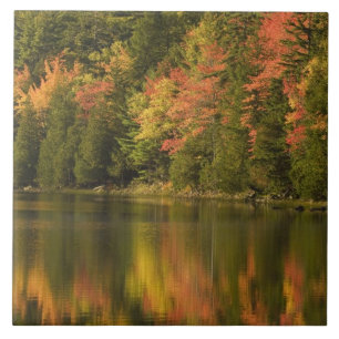 USA; Maine; Acadia NP. Herbstreflexionen am Fliese