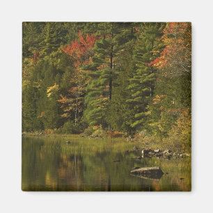 USA; Maine; Acadia NP. Herbstreflexionen bei 2 Magnet
