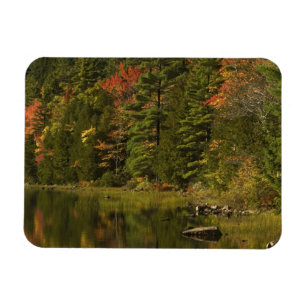 USA; Maine; Acadia NP. Herbstreflexionen bei 2 Magnet