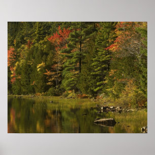 USA; Maine; Acadia NP. Herbstreflexionen bei 2 Poster