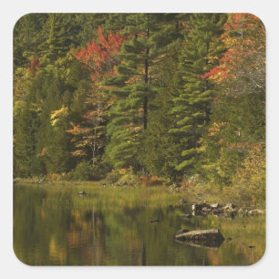 USA; Maine; Acadia NP. Herbstreflexionen bei 2 Quadratischer Aufkleber