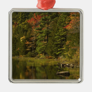USA; Maine; Acadia NP. Herbstreflexionen bei 2 Silbernes Ornament