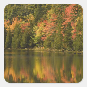 USA; Maine; Acadia NP. Herbstreflexionen bei Quadratischer Aufkleber