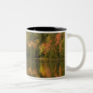USA; Maine; Acadia NP. Herbstreflexionen bei Zweifarbige Tasse