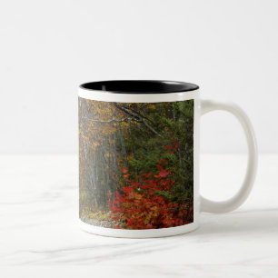 USA, Maine, Camden. Straße durch Camden Zweifarbige Tasse
