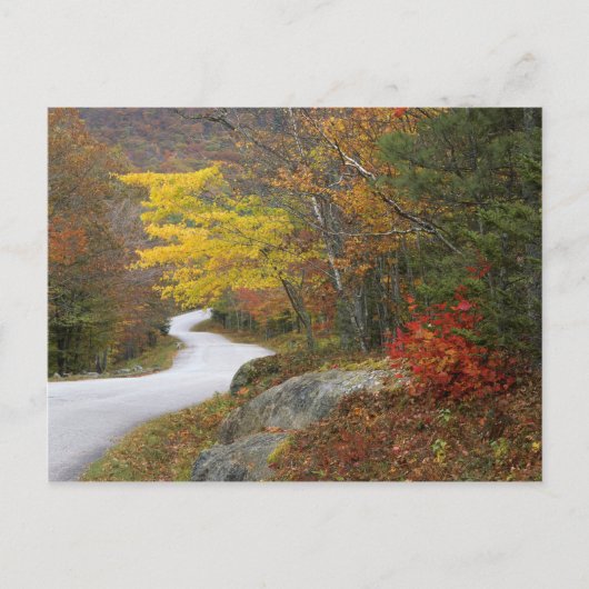 USA, Maine, Camden. Straße nach Camden Postkarte (Vorderseite)