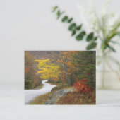 USA, Maine, Camden. Straße nach Camden Postkarte (Stehend Vorderseite)