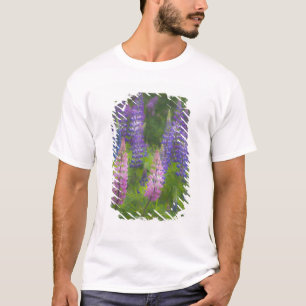 USA, Maine, Südwest Hafen. Blühende Lupine T-Shirt