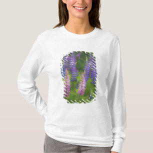 USA, Maine, Südwest Hafen. Blühende Lupine T-Shirt