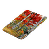 USA, Maine, Wyman Lake. Birkenwald Magnet (Linke Seite)