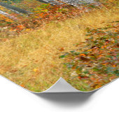 USA, Maine, Wyman Lake. Birkenwald Poster (Ecke)