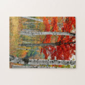 USA, Maine, Wyman Lake. Birkenwald Puzzle (Horizontal)
