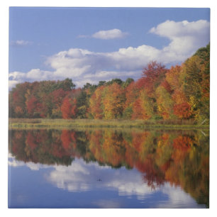 USA, Massachusetts, Acton. Herbstreflektion Fliese