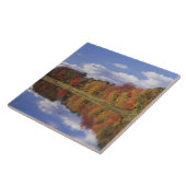 USA, Massachusetts, Acton. Herbstreflektion Fliese (Seite)