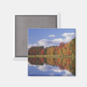 USA, Massachusetts, Acton. Herbstreflektion Magnet (Vorderseite/Rückseite)