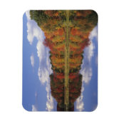 USA, Massachusetts, Acton. Herbstreflektion Magnet (Vertikal)