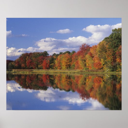 USA, Massachusetts, Acton. Herbstreflektion Poster (Vorne)