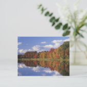 USA, Massachusetts, Acton. Herbstreflektion Postkarte (Stehend Vorderseite)