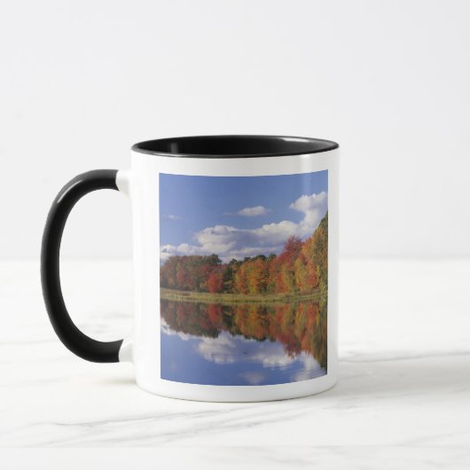 USA, Massachusetts, Acton. Herbstreflektion Tasse (Links)
