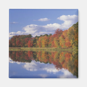 USA, Massachusetts, Acton. Widerspiegelung des Her Magnet