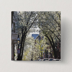 USA, Massachusetts, Boston, Beacon Hill. Button