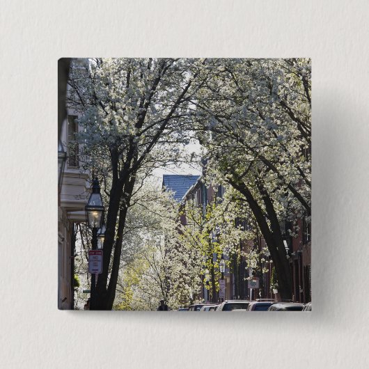 USA, Massachusetts, Boston, Beacon Hill. Button (Vorderseite)