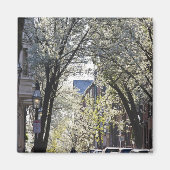 USA, Massachusetts, Boston, Beacon Hill. Magnet (Vorne)