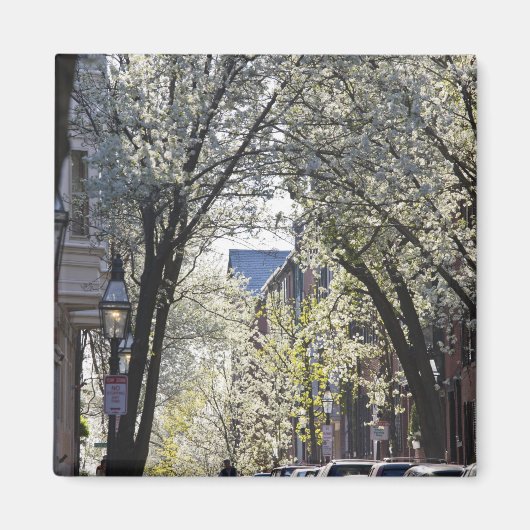 USA, Massachusetts, Boston, Beacon Hill. Magnet (Vorne)