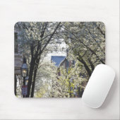 USA, Massachusetts, Boston, Beacon Hill. Mousepad (Mit Mouse)